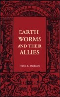 Earthworms and their Allies