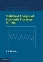 Statistical Analysis of Stochastic Processes in Time