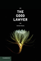 Good Lawyer