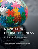 Navigating Global Business