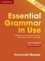 Essential Grammar in Use 4th Edition Edition without answers