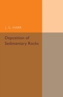 Deposition of the Sedimentary Rocks