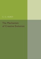 Mechanism of Creative Evolution