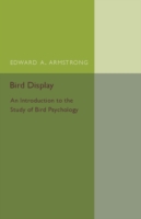 Bird Display