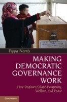 Making Democratic Governance Work