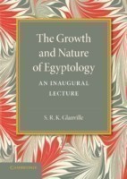 Growth and Nature of Egyptology