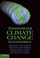 Transnational Climate Change Governance