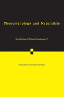 Phenomenology and Naturalism