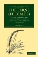 Ferns (Filicales) : Treated Comparatively with a View to Their Natural Classification