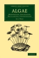 Algae: Volume 1, Myxophyceae, Peridinieae, Bacillarieae, Chlorphyceae