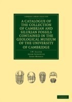 Catalogue of the Collection of Cambrian and Silurian Fossils Contained in the Geological Museum of the University of Cambridge