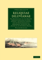 Reliquiae Diluvianae