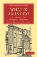 What is an Index?