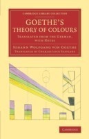 Goethe's Theory of Colours