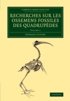 Recherches sur les ossemens fossiles des quadrupèdes