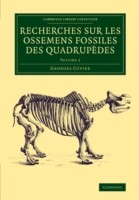 Recherches sur les ossemens fossiles des quadrupèdes