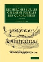 Recherches sur les ossemens fossiles des quadrupèdes