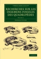 Recherches sur les ossemens fossiles des quadrupèdes