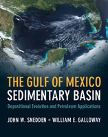 Gulf of Mexico Sedimentary Basin