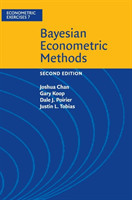 Bayesian Econometric Methods