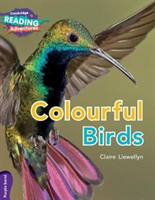 Cambridge Reading Adventures Purple Colourful Birds