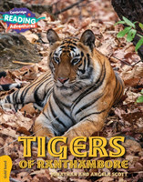 Cambridge Reading Adventures Gold Tigers of Ranthambore