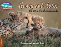 Cambridge Reading Adventures 1 Pathfinders Honey and Toto: the story of a cheetah family