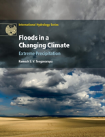 Floods in a Changing Climate Extreme Precipitation