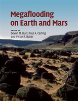 Megaflooding on Earth and Mars