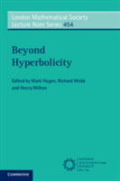 Beyond Hyperbolicity