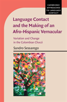 Language Contact and the Making of an Afro-Hispanic Vernacular Variation and Change in the Colombian Choco