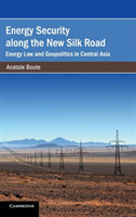 Energy Security along the New Silk Road