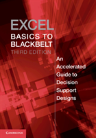 Excel Basics to Blackbelt