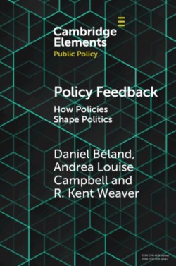 Policy Feedback