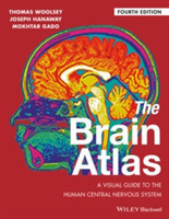 The Brain Atlas : A Visual Guide to the Human Central Nervous System