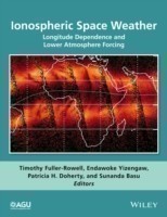 Ionospheric Space Weather