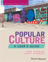 Popular Culture A User's Guide