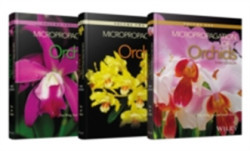 Micropropagation of Orchids, 3 Volume Set