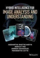 Hybrid Intelligence for Image Analysis and Understanding