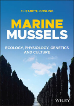 Marine Mussels