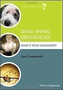 Small Animal Dermatology What's Your Diagnosis?