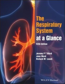 Respiratory System at a Glance