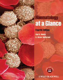 Haematology at Glance 4th ed.