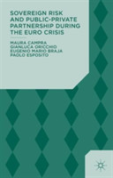 Sovereign Risk and Public-Private Partnership During the Euro Crisis