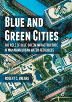Blue and Green Cities The Role of Blue-Green Infrastructure in Managing Urban Water Resources
