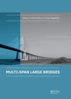 Multi-Span Large Bridges