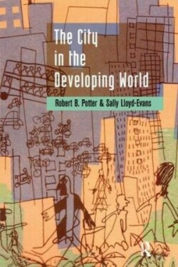 City in the Developing World