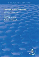 Unemployment in Ireland Alternative Perspectives