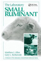 Laboratory Small Ruminant