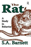 Rat